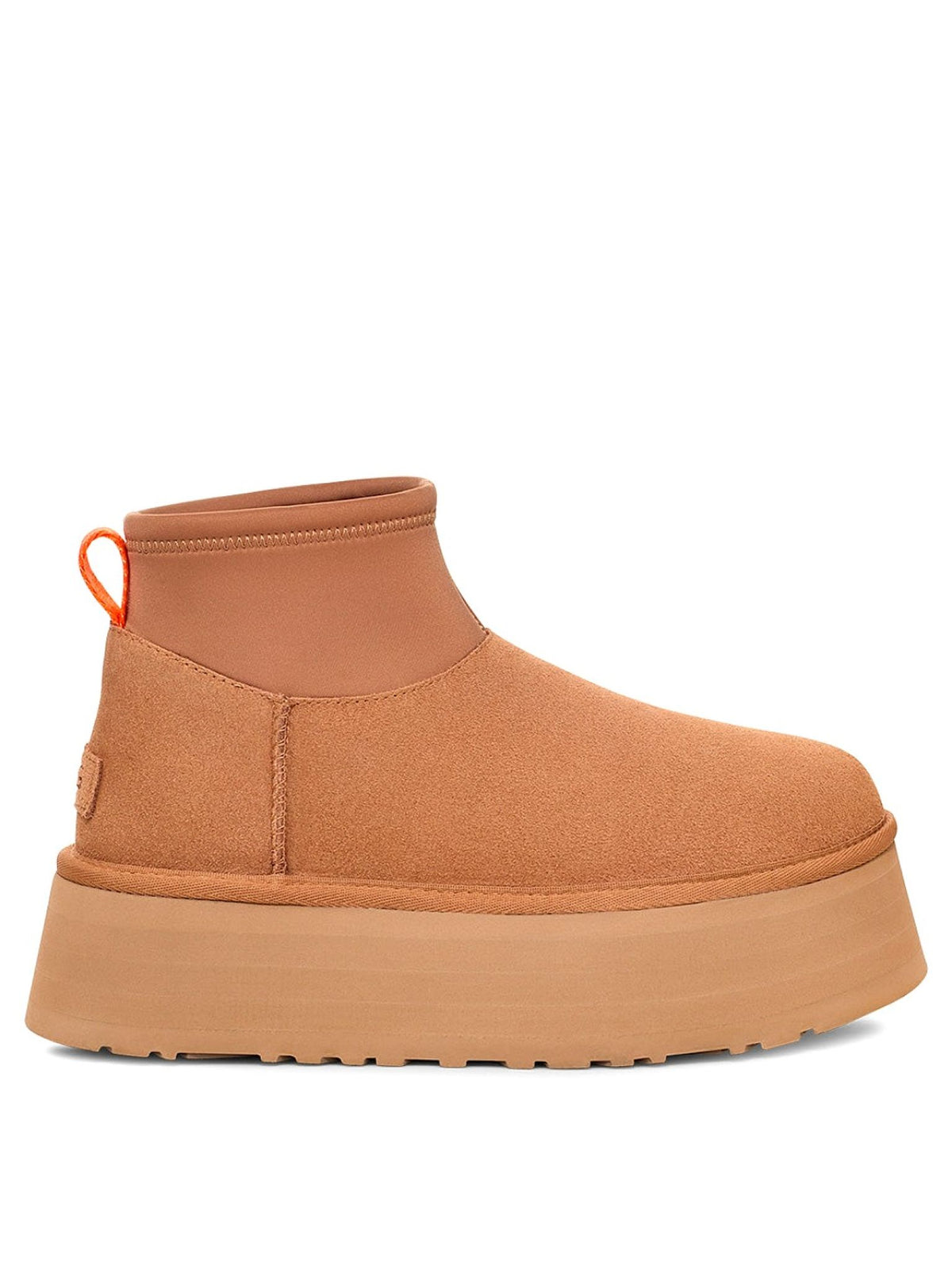 2586